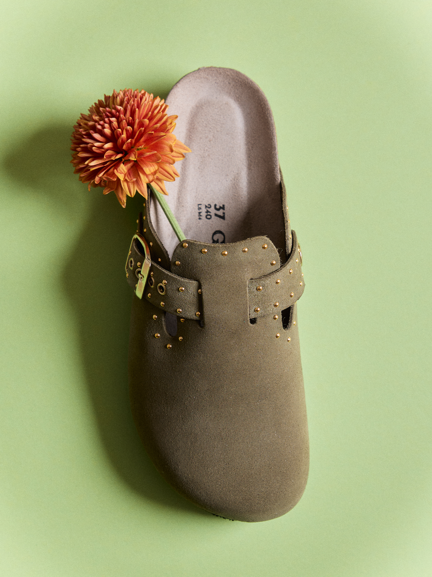 RIVA LEAD VELOUR KAKI